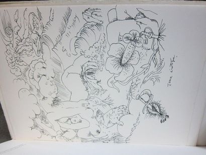 null André MASSON (1896-1987)
Sexual mythology. Lithography. Album format: 600 x...